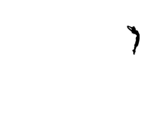 Stef'Form